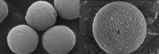 Kinetex particles